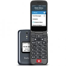 Lively - Jitterbug Flip2 Cell Phone for Seniors - Gray